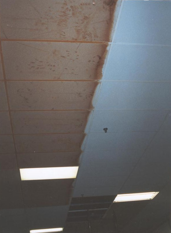 A ceiling of a building